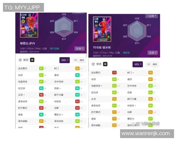 张家口足球之星：十大最具影响力球员排名与成就解析