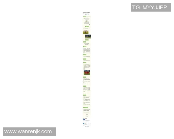 靖西足球最新球星阵容曝光 2025年新鲜血液加入球队备战新赛季